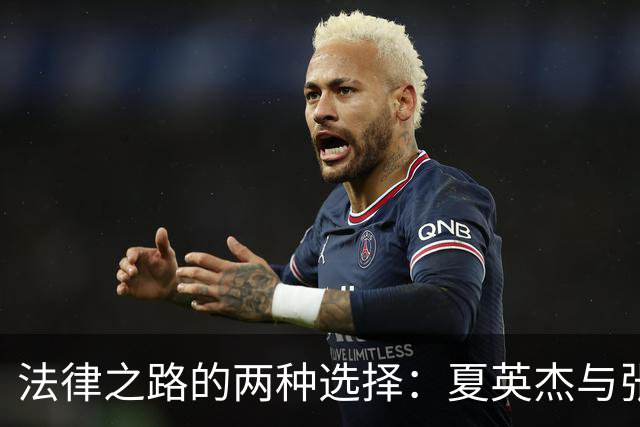 法律之路的两种选择：夏英杰与张丽慧的命运对比